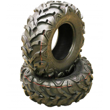 22X10-9 PAR DE LLANTAS TRASERAS PARA CUATRIMOTO RAPTOR HONDA RECON TRX250